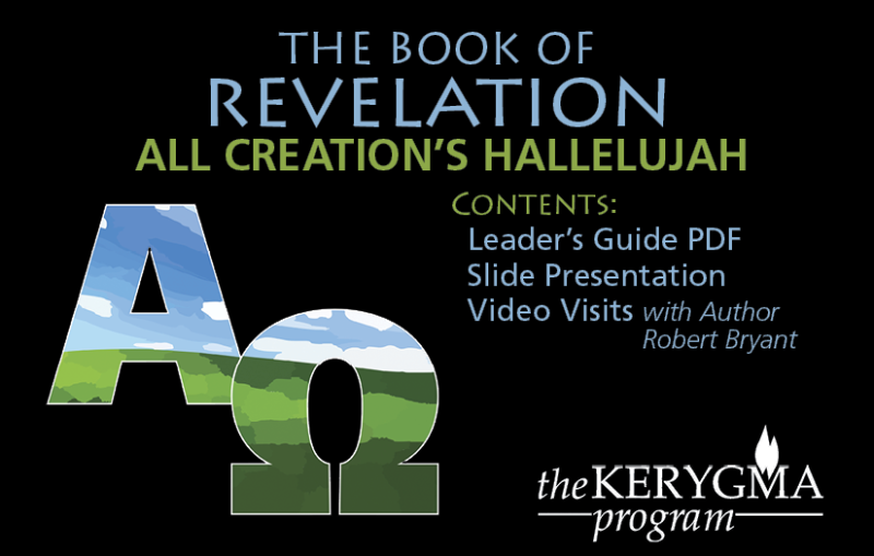 Revelation All Creation's Flash Drive